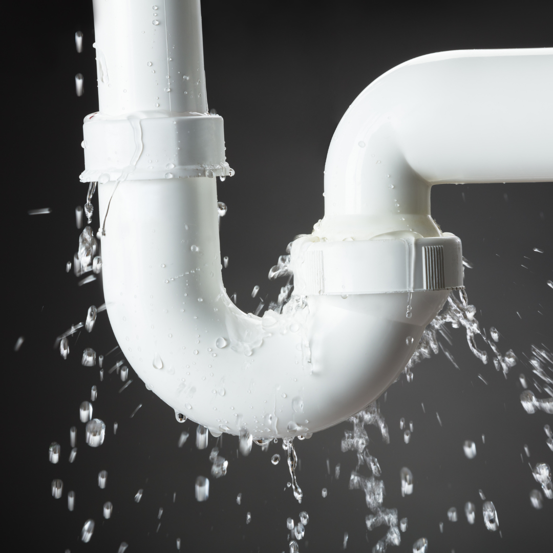 Das ganze Haus kalkfrei bekommen